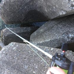 撒き餌しながら穴釣り